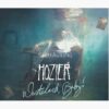 flat750x075f pad750x1000f8f8f8.u2 7 - Hozier Merch