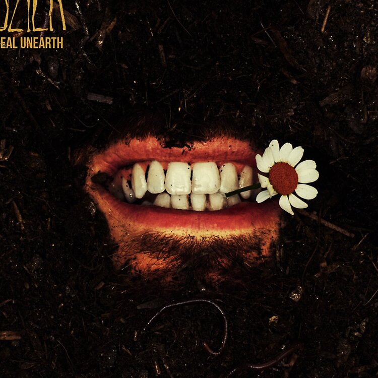 flat750x075f pad750x750f8f8f8 22 - Hozier Merch